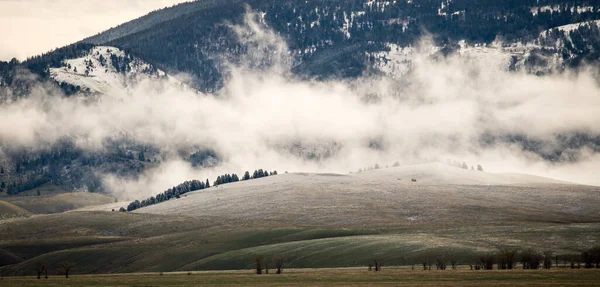 Hermoso Paisaje Suave Montañas Completamente Cubiertas Niebla — Foto de Stock