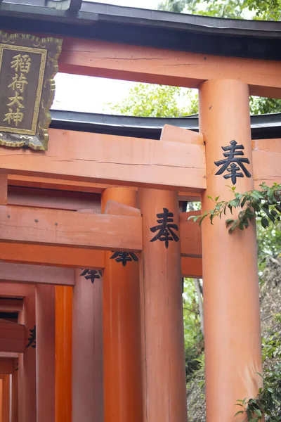Tiro Vertical Dos Portões Torii Com Hieróglifos Kyoto Japão — Fotografia de Stock