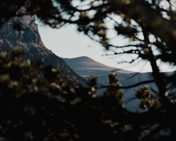 Прекрасний Вид Гірський Пейзаж Неорієнтованими Гілками Передньому Плані — стокове фото