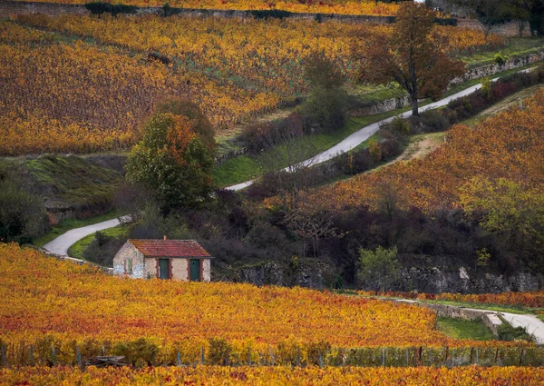 Une Belle Vue Automne Village Par Une Journée Ensoleillée — Photo