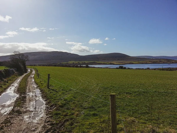アイルランドの青い空の下の緑の野の近くの汚い道 — ストック写真