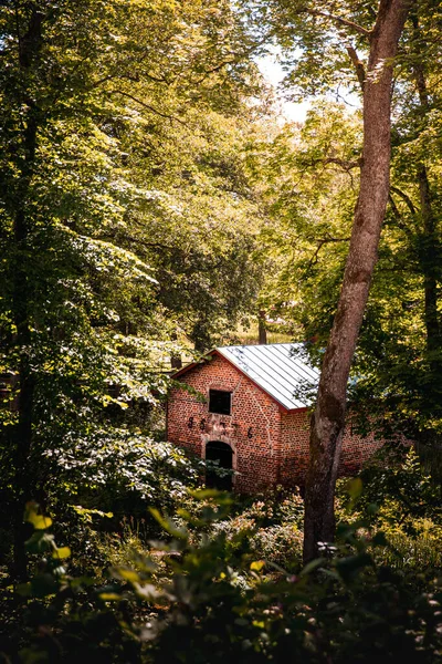 Disparo Vertical Una Cabaña Bosque Verde Durante Día — Foto de Stock
