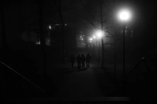Siluetas Cuatro Personas Una Noche Niebla Parque Toomemagi Tartu — Foto de Stock