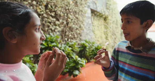 Який Фокус Двох Південноазіатських Кілочків Які Їдять Закуски — стокове фото