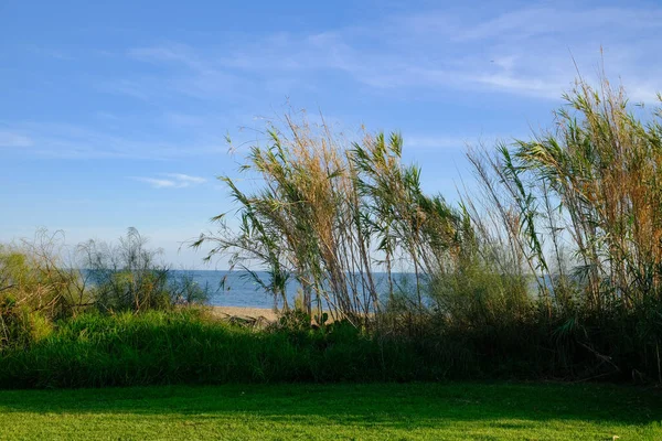 Spanya Nın Endülüs Kentindeki Canela Ayamonte Adası Nda Deniz Manzarası — Stok fotoğraf