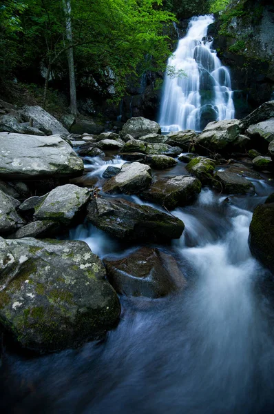 Vertikální Záběr Proudícího Vodopádu Uprostřed Lesa — Stock fotografie