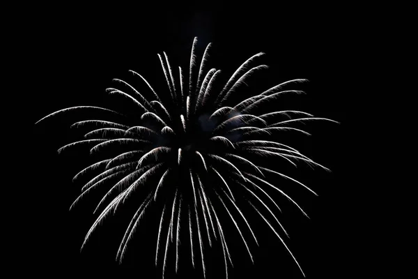 お祝いの夜の美しい花火 — ストック写真
