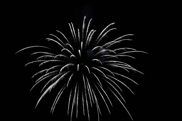 Les Beaux Feux Artifice Dans Nuit Pour Les Célébrations — Photo