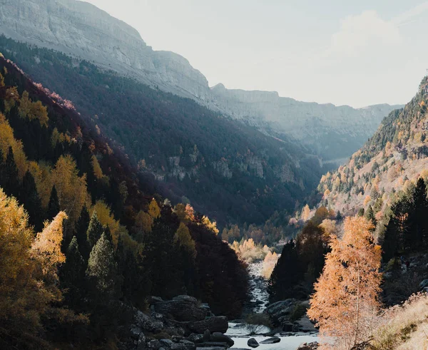 美丽的风景 一条小溪流淌在五彩斑斓的秋天森林里 — 图库照片