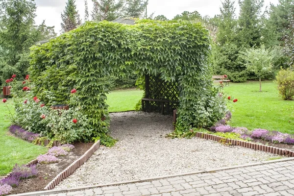 Beautiful Pavilion Overgrown Large Green Leaves Beautiful Park Cloudy Sky — Stock Photo, Image