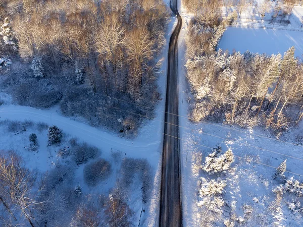 Road Street Surrounded Trees Winter Aerial View Photography Bird Eye — 图库照片