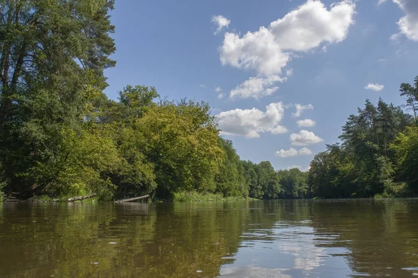 Une Belle Vue Sur Lac Avec Reflet Des Arbres Des — Photo