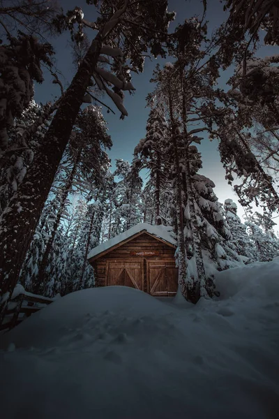 Disparo Vertical Una Cabaña Bosque Invernal Cubierto Nieve — Foto de Stock