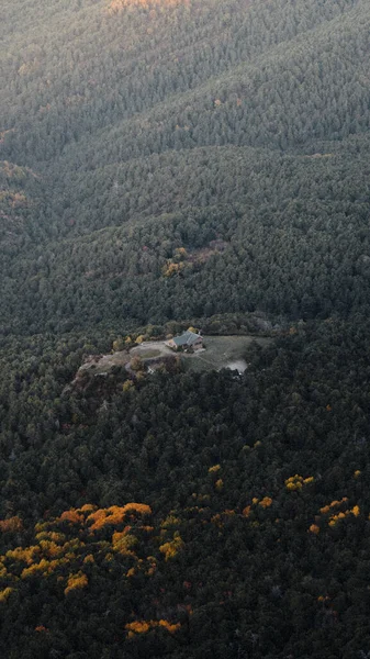 Eine Vertikale Aufnahme Eines Ferienhauses Umgeben Von Sattgrünem Wald — Stockfoto