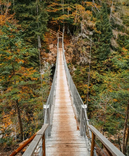 Suspension Footbridge Forest Fall Colors Kranjska Gora Slovenia — Foto Stock