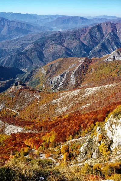 Eine Landschaftlich Reizvolle Aufnahme Einer Wiese Auf Den Bergen — Stockfoto