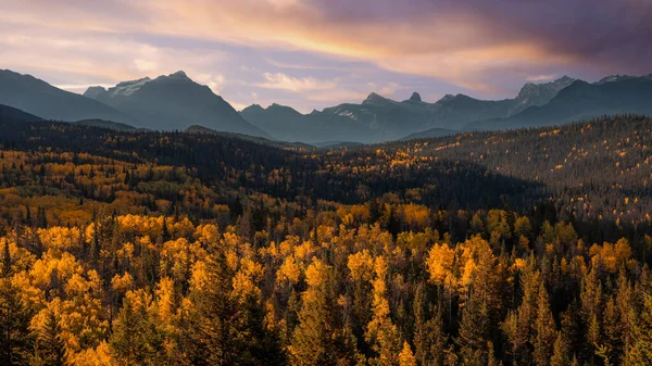 Een Landschap Van Rotsachtige Heuvels Groen Tijdens Zonsopgang Jasper National — Stockfoto