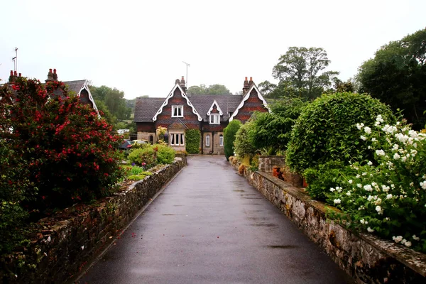 Beautiful Shot Small Road Decorated Pretty Flowers Leading Cute Countryside — Fotografia de Stock