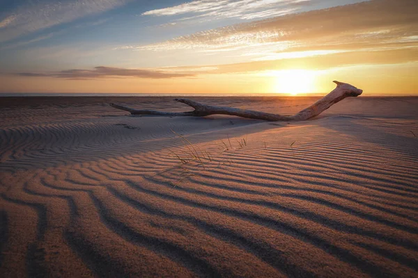 Beautiful View Big Weathered Wood Wavy Sandy Beach — Stockfoto