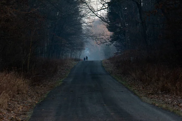 オハイオ州トレド近くのオーク オープン プリザーヴ メトロパークのトレイルを歩いているカップル — ストック写真