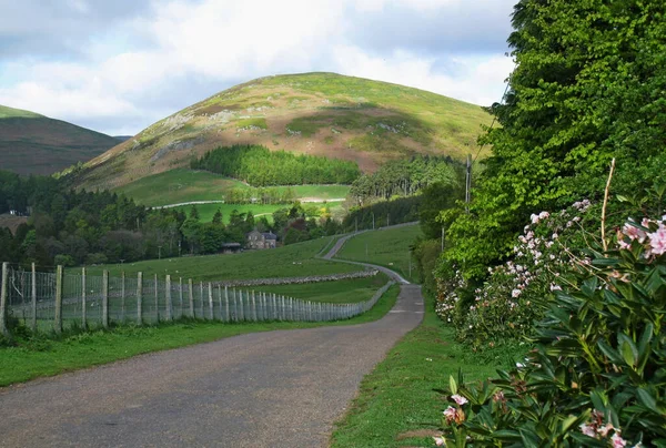 Krásný Výhled Cheviot Hills Ingram Údolí Northumberlandu — Stock fotografie