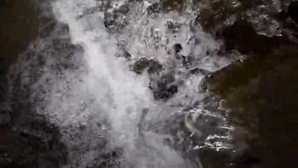 Nahaufnahme Von Kleinem Wasserfall Wald — Stockvideo