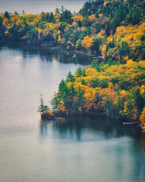 Una Vista Fascinante Lago Tranquilo Rodeado Árboles — Foto de Stock