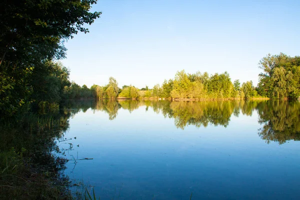 Озеро Река Отражающая Окружающие Деревья Солнечный День — стоковое фото