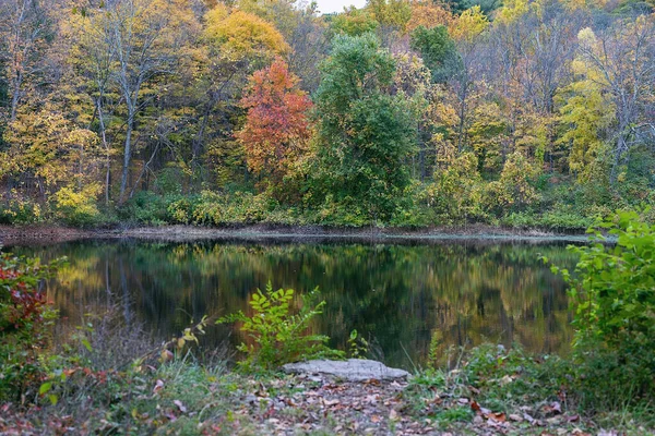 Beautiful Small Pond Colorful Autumn Park — Stockfoto