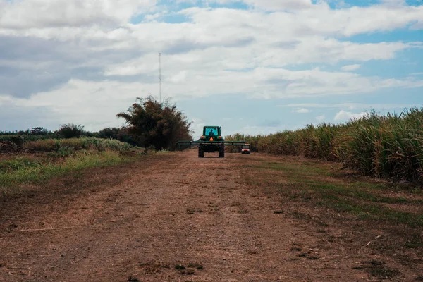 Een Machine Die Suikerriet Oogst Een Veld — Stockfoto