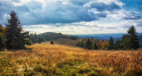 Mesmerizing Shot Colorful Forest Autumn — Fotografia de Stock