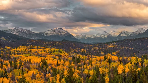 Landscape Rocky Hills Greenery Sunrise Jasper National Park Canada — Stockfoto