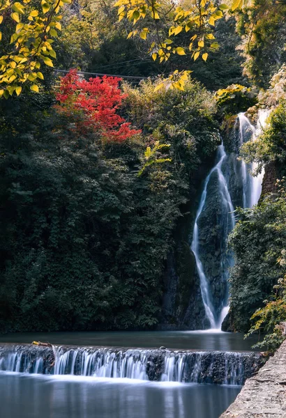 Een Waterval Het Adembenemende Bos Met Dichte Kleurrijke Vegetatie — Stockfoto