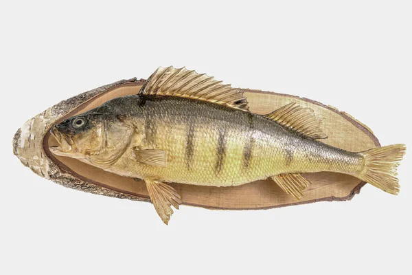 Detailní Záběr Ryby Dřevěné Desce Izolované Bílém Pozadí — Stock fotografie