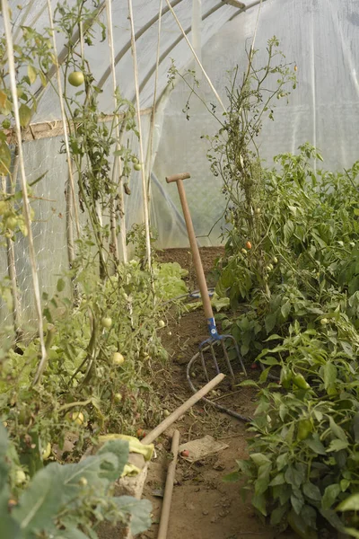 Eine Vertikale Aufnahme Von Gartengeräten Gewächshaus — Stockfoto