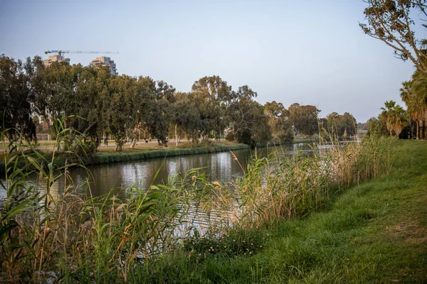 Beautiful Shot Lake Forest — Stock Photo, Image