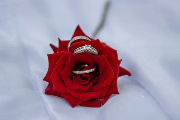 Closeup Shot Wedding Rings Red Rose Flower White Cloth — Stok Foto