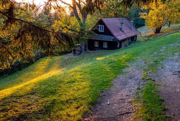 森の中の小さな田舎の家の美しいショット — ストック写真