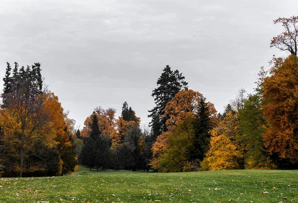 Una Hermosa Vista Del Paisaje Otoñal Con Árboles Coloridos Bosque —  Fotos de Stock
