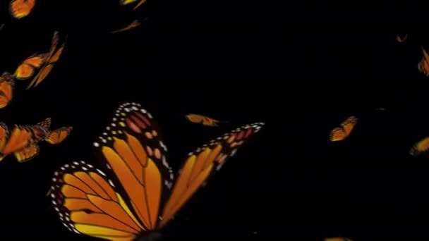 Анімовані Метелики Темному Фоні — стокове відео