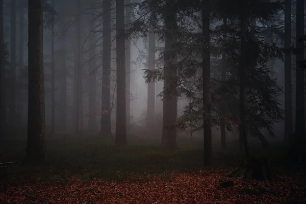 Landscape View Bavarian Forest Evening — стоковое фото