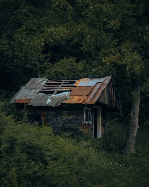 Vertical Shot Abandoned House Forest — Stok fotoğraf