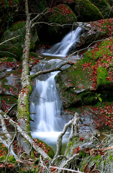 Ein Kleiner Wasserfall Auf Den Bemoosten Felsen — Stockfoto