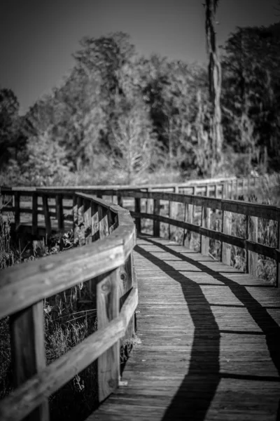 Grayscale Shot Wooden Walking Bridge Phinizy Swamp Nature Park Augusta — Fotografia de Stock