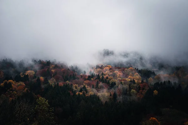 Ein Schöner Herbstblick Auf Einen Nebligen Morgen Wald Bayern Deutschland — Stockfoto