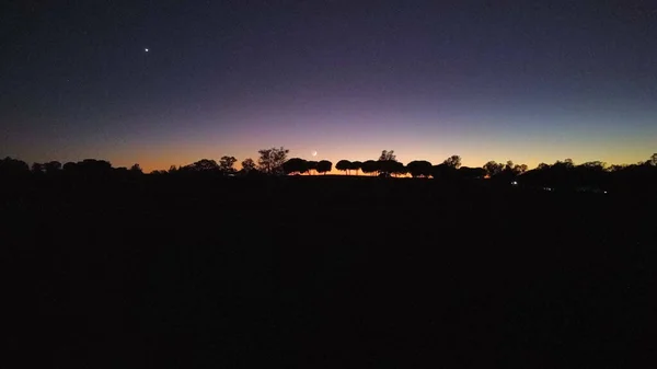 Beautiful Silhouette Forest Starry Night Sky — Zdjęcie stockowe