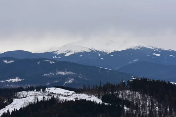 Захоплюючий Зимовий Пейзаж Гір Снігом Сосновими Деревами — стокове фото
