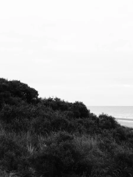 Vertical Grayscale Shot Hill Sea —  Fotos de Stock