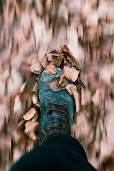 Vertical Closeup Man Foot Autumn Foliage — стоковое фото