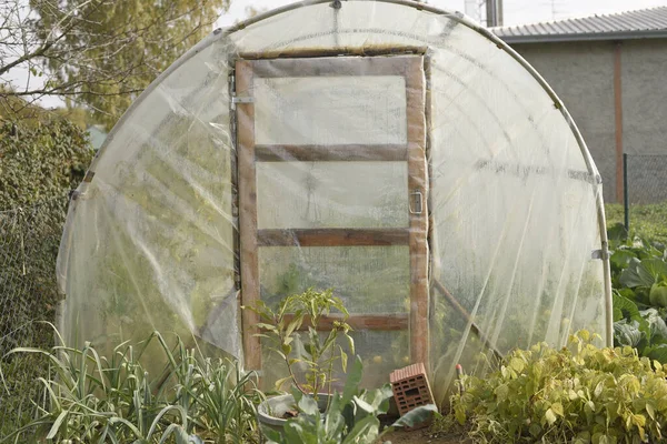 Closeup Greenhouse Fixed Garden — Stockfoto